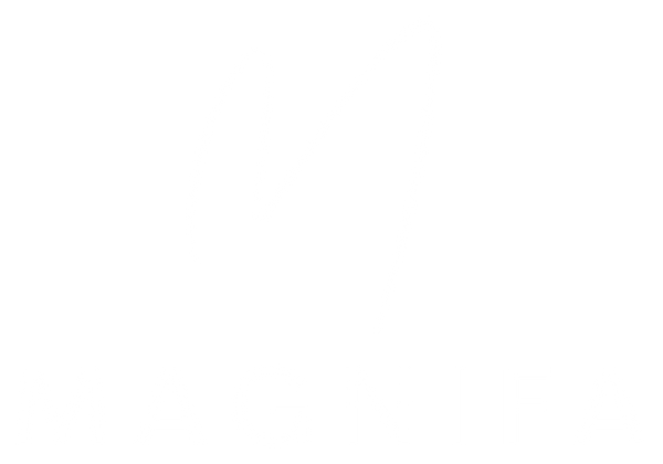 Magnifa